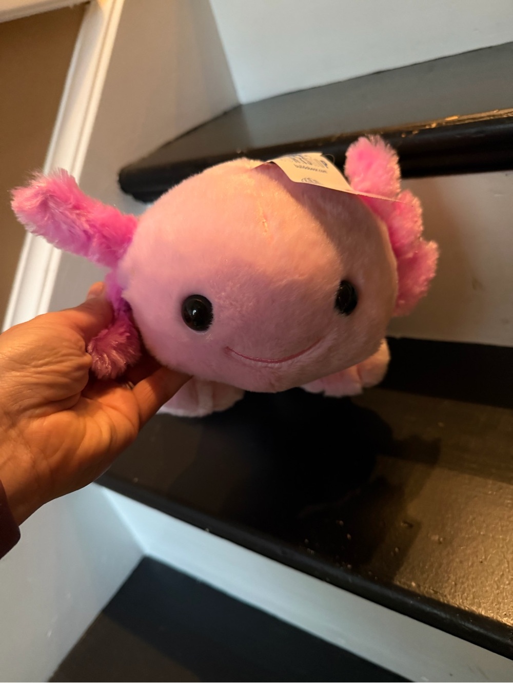 Build a bear Pink Axolotl with sleeper